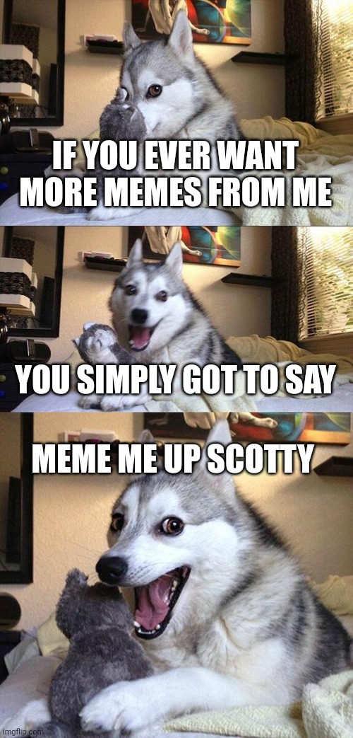 Hahahahahaha | IF YOU EVER WANT MORE MEMES FROM ME; YOU SIMPLY GOT TO SAY; MEME ME UP SCOTTY | image tagged in memes,bad pun dog | made w/ Imgflip meme maker