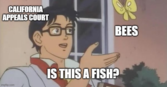 Is this a Fish? | CALIFORNIA APPEALS COURT; BEES; IS THIS A FISH? | image tagged in is this a pigeon | made w/ Imgflip meme maker