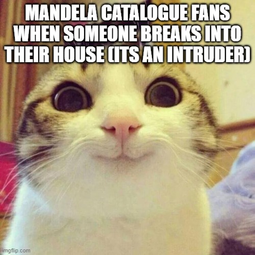 Smiling Cat Meme | MANDELA CATALOGUE FANS WHEN SOMEONE BREAKS INTO THEIR HOUSE (ITS AN INTRUDER) | image tagged in memes,smiling cat | made w/ Imgflip meme maker