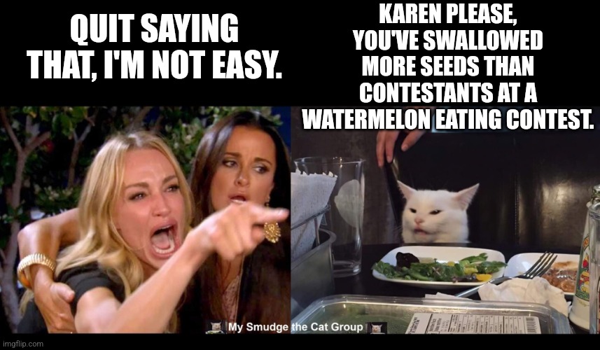 KAREN PLEASE, YOU'VE SWALLOWED MORE SEEDS THAN CONTESTANTS AT A WATERMELON EATING CONTEST. QUIT SAYING THAT, I'M NOT EASY. | image tagged in smudge the cat,woman yelling at cat,funny memes | made w/ Imgflip meme maker