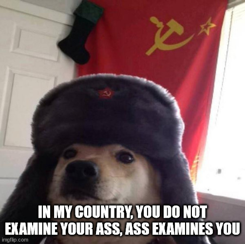 Russian Doge | IN MY COUNTRY, YOU DO NOT EXAMINE YOUR ASS, ASS EXAMINES YOU | image tagged in russian doge | made w/ Imgflip meme maker