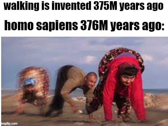 Walk is invented in... | walking is invented 375M years ago; homo sapiens 376M years ago: | image tagged in memes | made w/ Imgflip meme maker