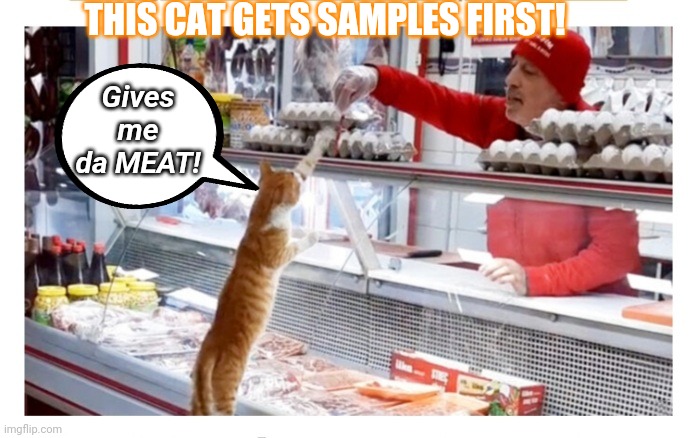 Deli Cat | THIS CAT GETS SAMPLES FIRST! Gives me da MEAT! | image tagged in cute cat,meat,delivery | made w/ Imgflip meme maker