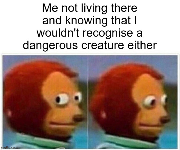 Monkey Puppet Meme | Me not living there
and knowing that I
wouldn't recognise a
dangerous creature either | image tagged in memes,monkey puppet | made w/ Imgflip meme maker