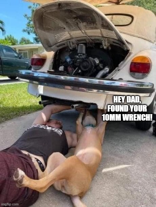 10mm wrench |  HEY DAD, FOUND YOUR 10MM WRENCH! | image tagged in vw beetle,10mm wrench,dog working on car with dad | made w/ Imgflip meme maker