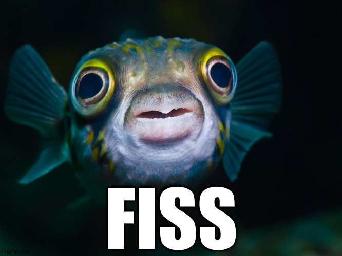 FISS | FISS | image tagged in fiss | made w/ Imgflip meme maker