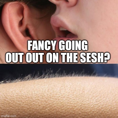Whisper and Goosebumps | FANCY GOING OUT OUT ON THE SESH? | image tagged in whisper and goosebumps,memes,out out | made w/ Imgflip meme maker