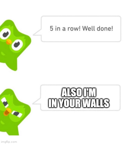 Duolingo 5 in a row | ALSO I'M IN YOUR WALLS | image tagged in duolingo 5 in a row | made w/ Imgflip meme maker