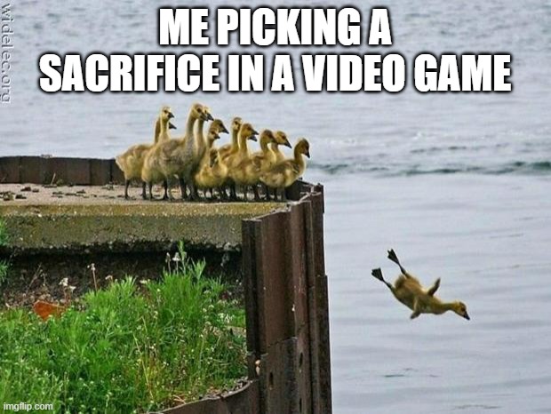 baby ducks | ME PICKING A SACRIFICE IN A VIDEO GAME | image tagged in baby ducks | made w/ Imgflip meme maker