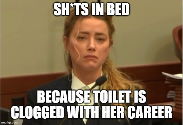 Amber Turd | SH*TS IN BED BECAUSE TOILET IS CLOGGED WITH HER CAREER | image tagged in amber turd | made w/ Imgflip meme maker