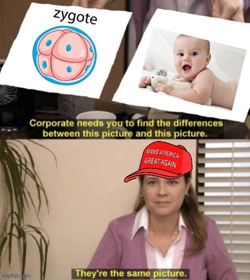 High Quality Abortion opponents Blank Meme Template