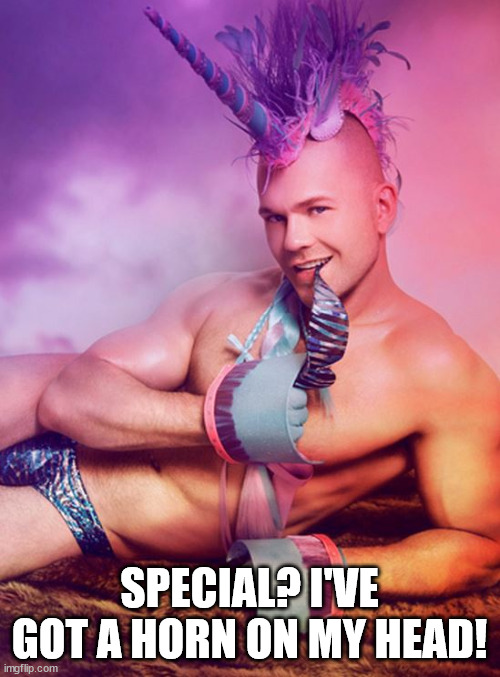 Sexy Gay Unicorn | SPECIAL? I'VE GOT A HORN ON MY HEAD! | image tagged in sexy gay unicorn | made w/ Imgflip meme maker
