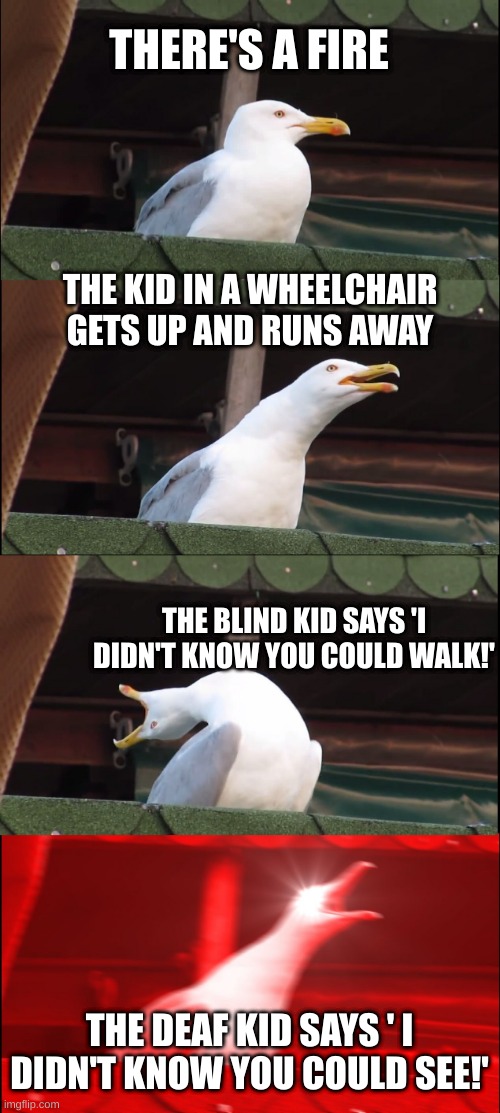 welcome to the multiverse | THERE'S A FIRE; THE KID IN A WHEELCHAIR GETS UP AND RUNS AWAY; THE BLIND KID SAYS 'I DIDN'T KNOW YOU COULD WALK!'; THE DEAF KID SAYS ' I DIDN'T KNOW YOU COULD SEE!' | image tagged in memes,inhaling seagull,dark humor | made w/ Imgflip meme maker
