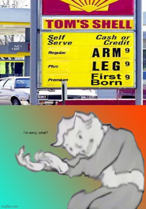 Tom's Shell either wants you arm, leg or your first born child | image tagged in i'm sorry what,gas station,shell,arms,legs,first born | made w/ Imgflip meme maker