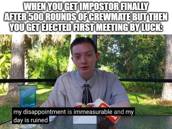 My day is ruined | WHEN YOU GET IMPOSTOR FINALLY AFTER 500 ROUNDS OF CREWMATE BUT THEN YOU GET EJECTED FIRST MEETING BY LUCK: | image tagged in my day is ruined | made w/ Imgflip meme maker