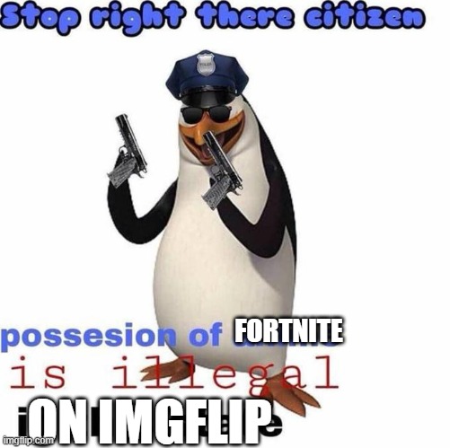 Stop right there citizen | FORTNITE ON IMGFLIP | image tagged in stop right there citizen | made w/ Imgflip meme maker