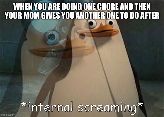 Why | WHEN YOU ARE DOING ONE CHORE AND THEN YOUR MOM GIVES YOU ANOTHER ONE TO DO AFTER | image tagged in private internal screaming | made w/ Imgflip meme maker