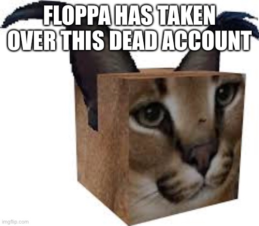 FLOPPA HAS TAKEN OVER THIS DEAD ACCOUNT | made w/ Imgflip meme maker