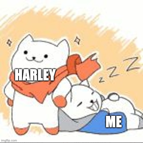 HARLEY; ME | made w/ Imgflip meme maker