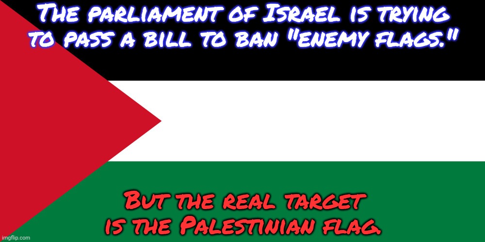 The Israeli police attacked people carrying Palestinian flags at the funeral of Shireen Abu Aqla. | The parliament of Israel is trying to pass a bill to ban "enemy flags."; But the real target is the Palestinian flag. | image tagged in palestine,oppression,symbolism | made w/ Imgflip meme maker