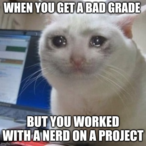 sad | WHEN YOU GET A BAD GRADE; BUT YOU WORKED WITH A NERD ON A PROJECT | image tagged in crying cat | made w/ Imgflip meme maker