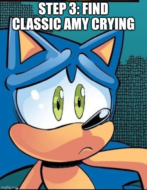 Sonic sad | STEP 3: FIND CLASSIC AMY CRYING | image tagged in sonic sad | made w/ Imgflip meme maker