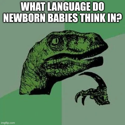 fr tho | WHAT LANGUAGE DO NEWBORN BABIES THINK IN? | image tagged in raptor asking questions,shower thoughts | made w/ Imgflip meme maker
