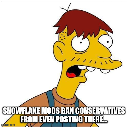 Some Kind Of Moron | SNOWFLAKE MODS BAN CONSERVATIVES FROM EVEN POSTING THERE... | image tagged in some kind of moron | made w/ Imgflip meme maker