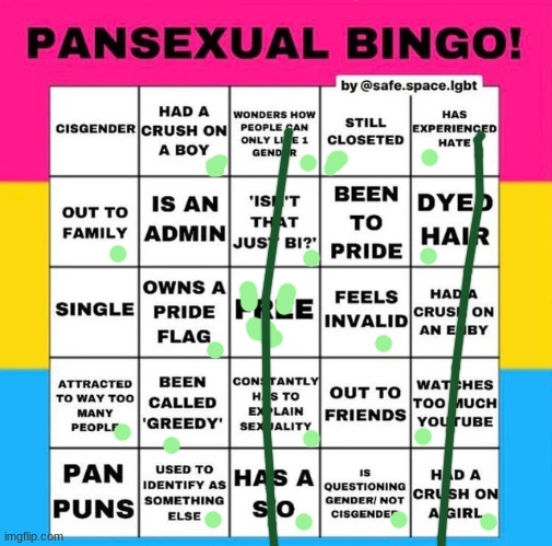 Pansexual Bingo | image tagged in pansexual bingo | made w/ Imgflip meme maker