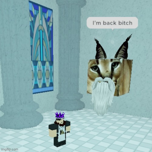 made w/ Imgflip meme maker