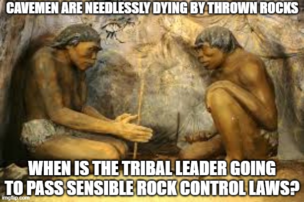 caveman fire | CAVEMEN ARE NEEDLESSLY DYING BY THROWN ROCKS; WHEN IS THE TRIBAL LEADER GOING TO PASS SENSIBLE ROCK CONTROL LAWS? | image tagged in caveman fire | made w/ Imgflip meme maker