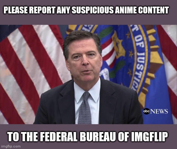 FBI Director James Comey | PLEASE REPORT ANY SUSPICIOUS ANIME CONTENT TO THE FEDERAL BUREAU OF IMGFLIP | image tagged in fbi director james comey | made w/ Imgflip meme maker