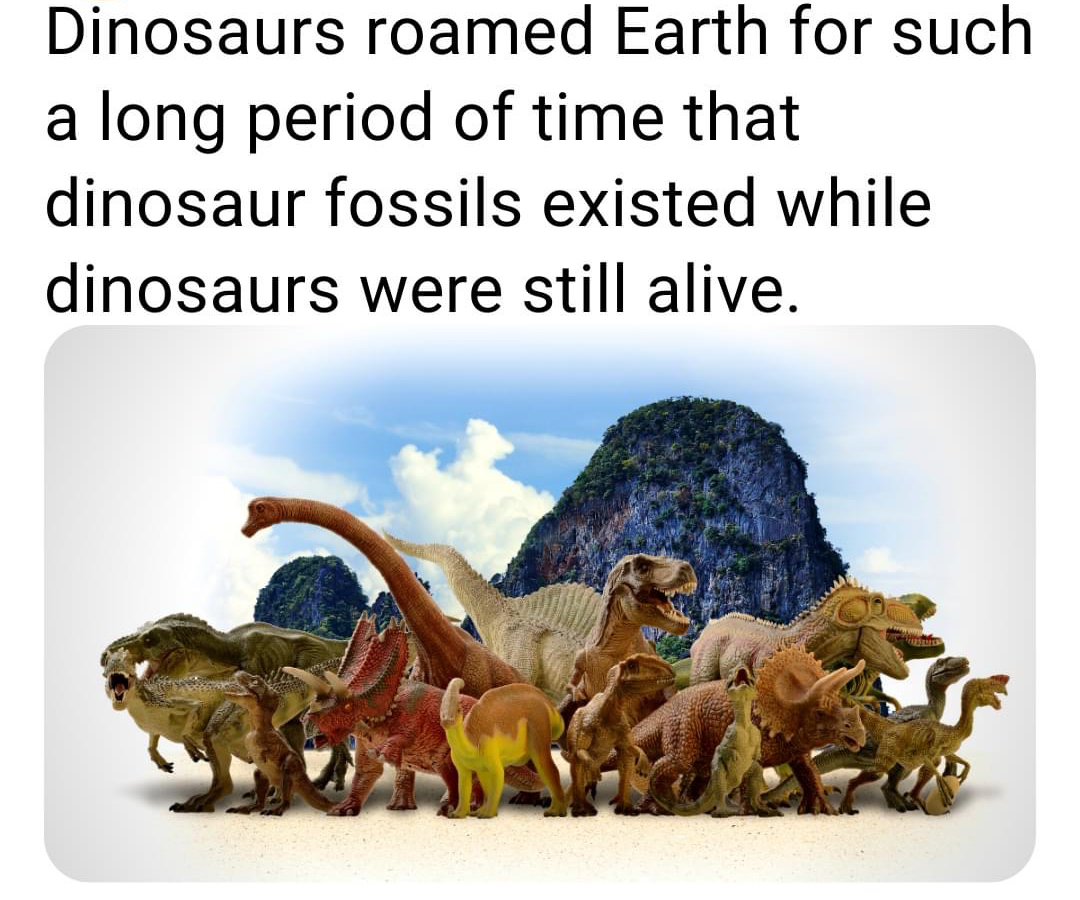 High Quality Dinosaur fossils Blank Meme Template