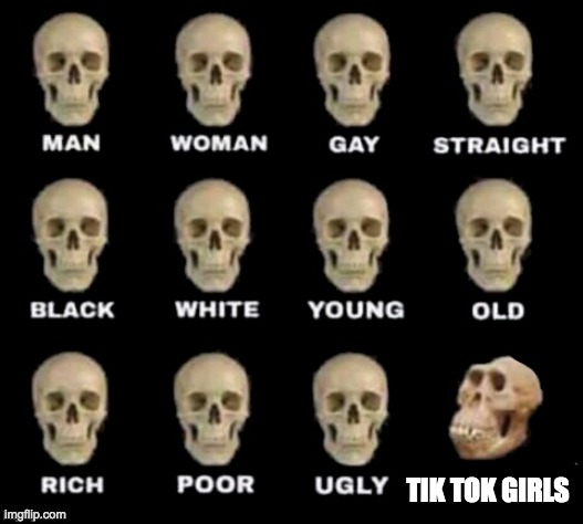 idiot skull | TIK TOK GIRLS | image tagged in idiot skull | made w/ Imgflip meme maker