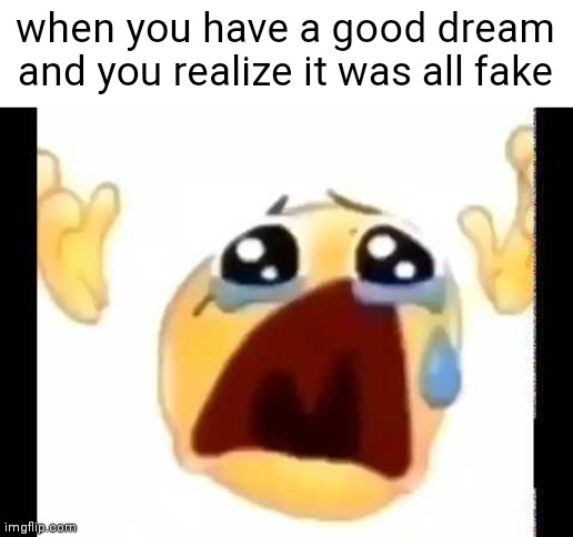 pain :( | when you have a good dream and you realize it was all fake | image tagged in cursed crying emoji,memes,true story,funny,cry about it,bye chat | made w/ Imgflip meme maker