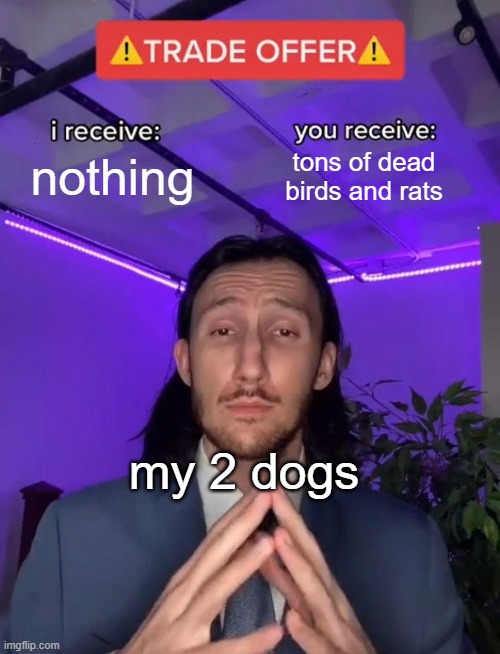 Why thank you but I don't think I'm hungry- | nothing; tons of dead birds and rats; my 2 dogs | image tagged in trade offer | made w/ Imgflip meme maker