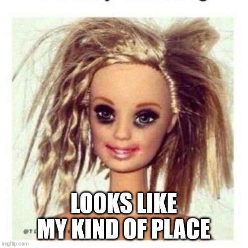 messy Barbie | LOOKS LIKE MY KIND OF PLACE | image tagged in messy barbie | made w/ Imgflip meme maker