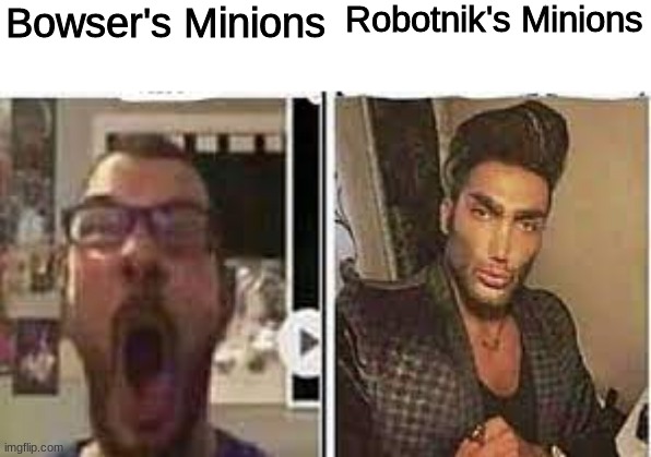 putting live animals in robots was a great idea, because you couldn't crush the robot without hurting the animal inside | Bowser's Minions; Robotnik's Minions | made w/ Imgflip meme maker