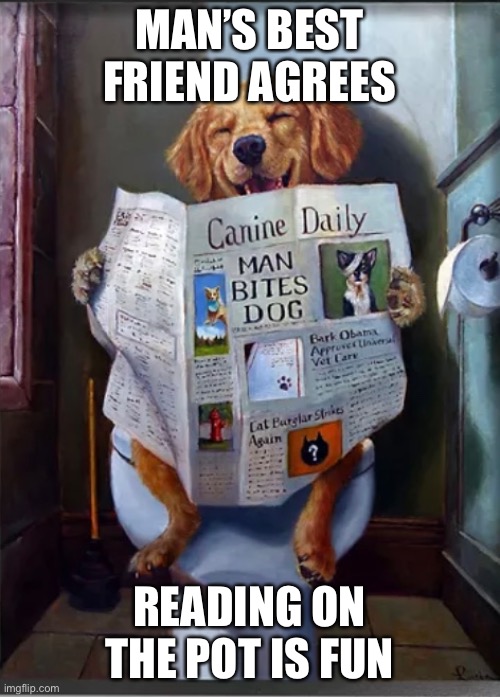 Dogge Reads | MAN’S BEST FRIEND AGREES; READING ON THE POT IS FUN | image tagged in doggo,toilet humor,porcelain reads,laughing briar | made w/ Imgflip meme maker