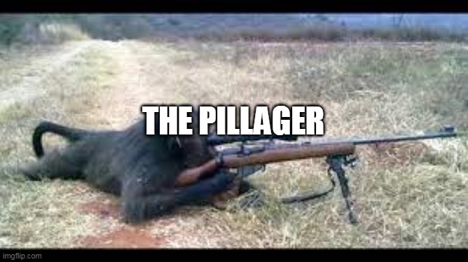 THE PILLAGER | made w/ Imgflip meme maker