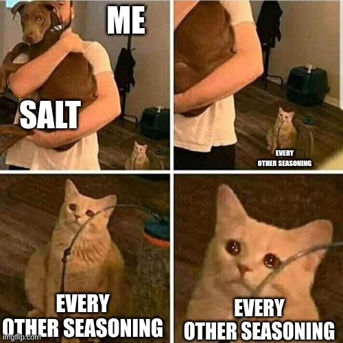 why is this me |  ME; SALT; EVERY OTHER SEASONING; EVERY OTHER SEASONING; EVERY OTHER SEASONING | image tagged in sad cat holding dog | made w/ Imgflip meme maker