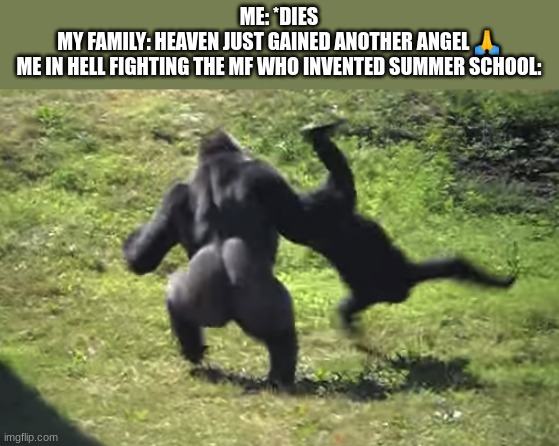 whoever thought summer school was a good idea needs to be in hell | ME: *DIES
MY FAMILY: HEAVEN JUST GAINED ANOTHER ANGEL 🙏
ME IN HELL FIGHTING THE MF WHO INVENTED SUMMER SCHOOL: | image tagged in gorilla throwing another gorilla | made w/ Imgflip meme maker