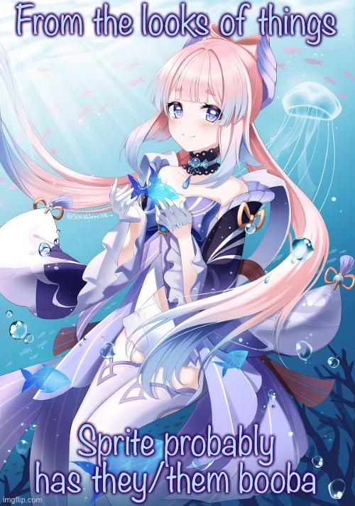 Sangonomiya Kokomi | From the looks of things; Sprite probably has they/them booba | image tagged in sangonomiya kokomi | made w/ Imgflip meme maker
