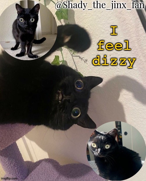   | I feel dizzy | image tagged in shady s jinx temp once agaun thanks ishowsun | made w/ Imgflip meme maker