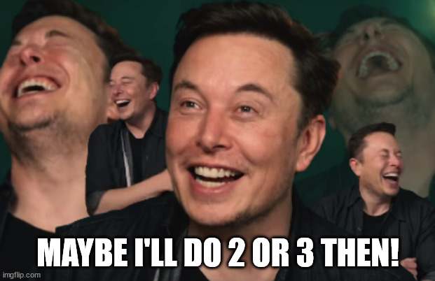 Elon Musk Laughing | MAYBE I'LL DO 2 OR 3 THEN! | image tagged in elon musk laughing | made w/ Imgflip meme maker