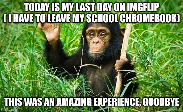 Goodbye everyone | TODAY IS MY LAST DAY ON IMGFLIP ( I HAVE TO LEAVE MY SCHOOL CHROMEBOOK); THIS WAS AN AMAZING EXPERIENCE, GOODBYE | image tagged in goodbye | made w/ Imgflip meme maker
