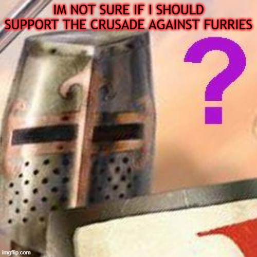 should i | IM NOT SURE IF I SHOULD SUPPORT THE CRUSADE AGAINST FURRIES | image tagged in confused crusade | made w/ Imgflip meme maker