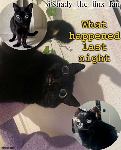   | What happened last night | image tagged in shady s jinx temp once agaun thanks ishowsun | made w/ Imgflip meme maker