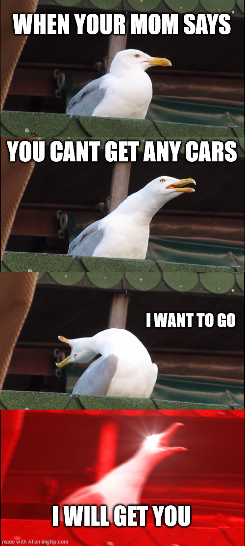 evil seagull | WHEN YOUR MOM SAYS; YOU CANT GET ANY CARS; I WANT TO GO; I WILL GET YOU | image tagged in memes,inhaling seagull | made w/ Imgflip meme maker