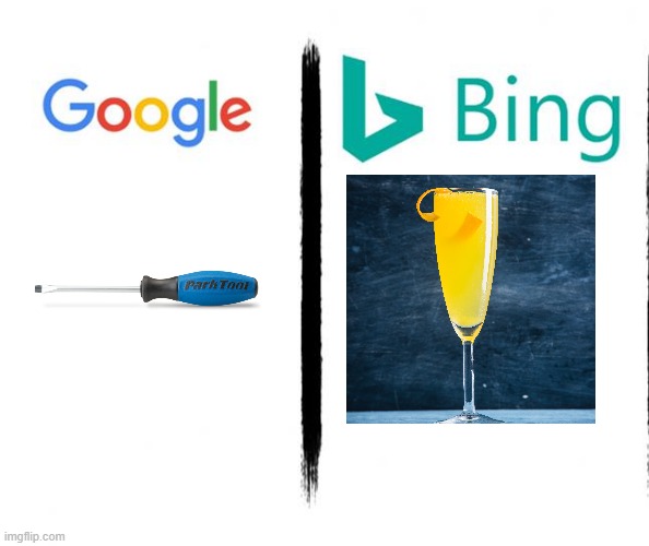 Google v. Bing | image tagged in google v bing | made w/ Imgflip meme maker